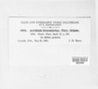 Image Associated With the Occurence